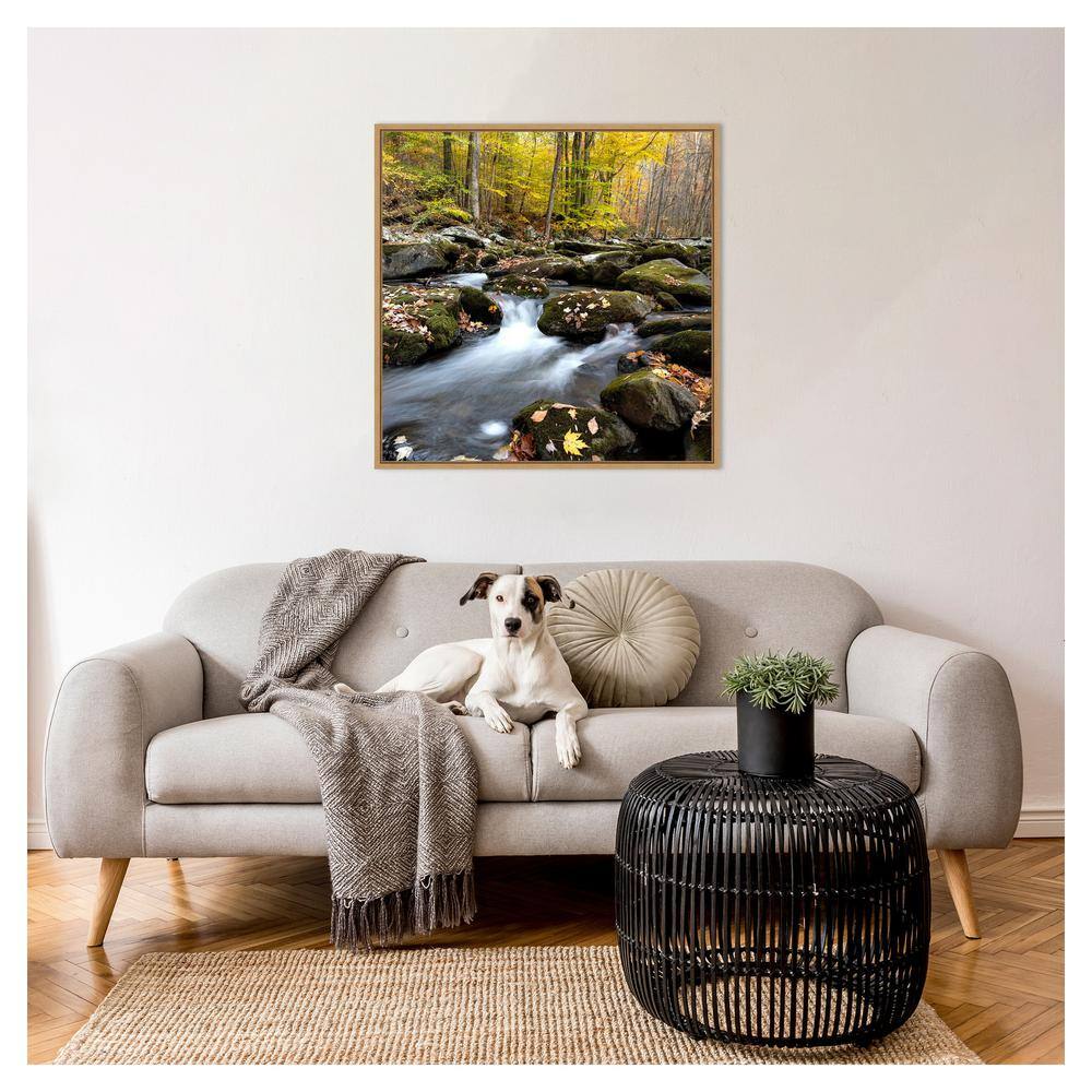 Autumn Rush Scenic Landscape Canvas Print with Maple Floater Frame