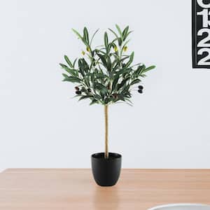 2 ft. Petite Artificial Olive Tree in Pot