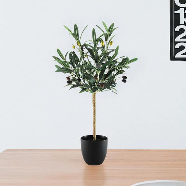 2 ft. Petite Artificial Olive Tree in Pot