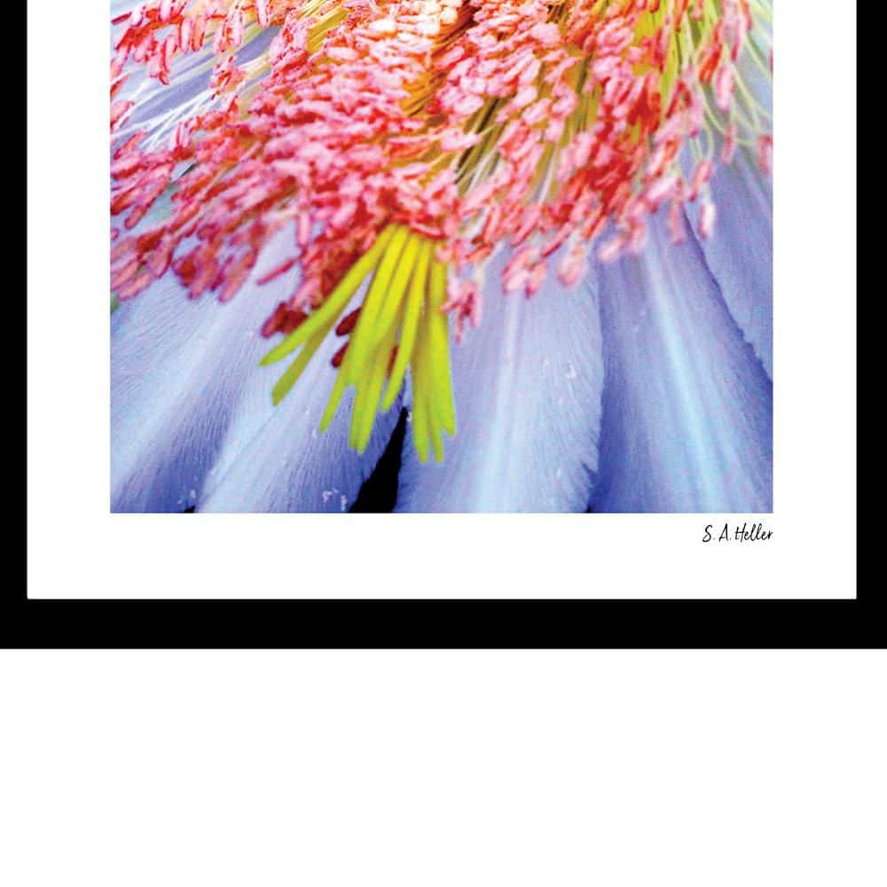 Bright Floral Framed Print for Kids Room Decor