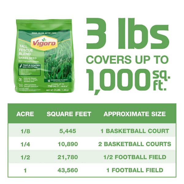 Vigoro 3 lbs. Tall Fescue Grass Seed Blend 100544414 - The Home Depot
