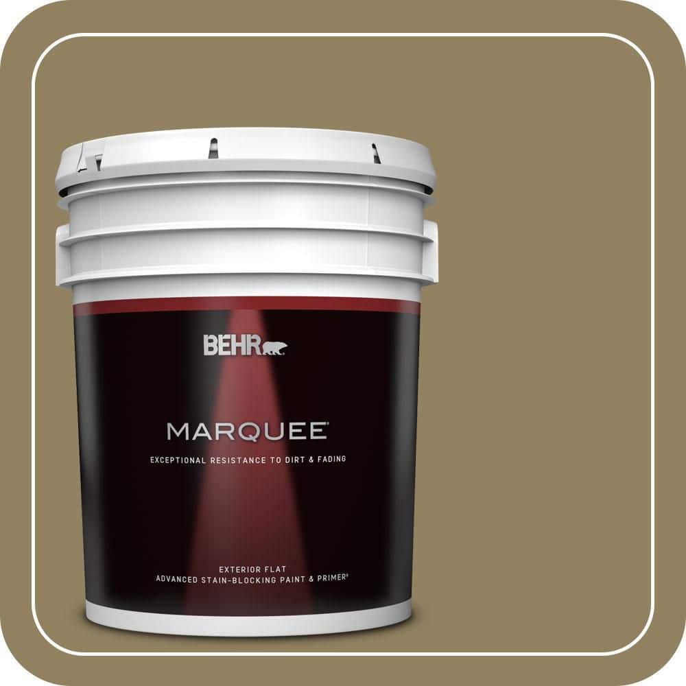 5 gal. #PPU8-02 Gingko Tree Flat Exterior Paint & Primer price history on PriceWatchPro
