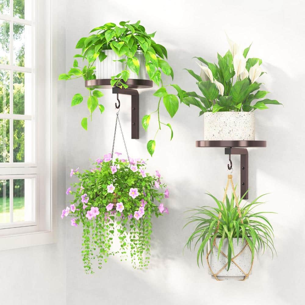8 in. Wall Mounted Plant Hangers with Hooks, Metal Floating Plant Shelves, Brown, 2-Piece price history on PriceWatchPro