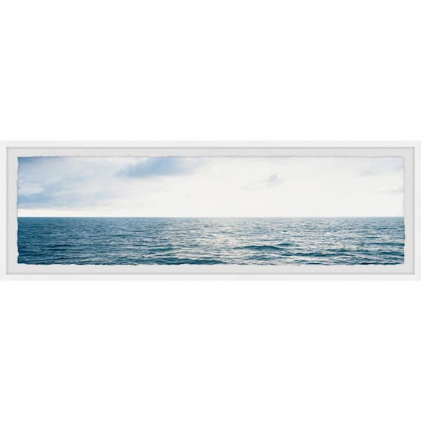 Unbranded "Dive Into the Ocean" by Marmont Hill Framed Nature Art Print 10 in. x 30 in.