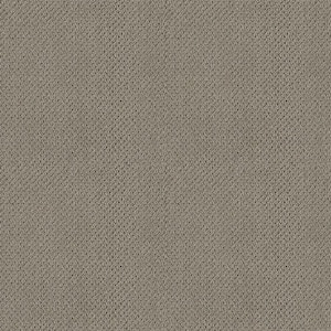 Lightbourne - Oyster - Brown 39.3 oz. Nylon Loop Installed Carpet