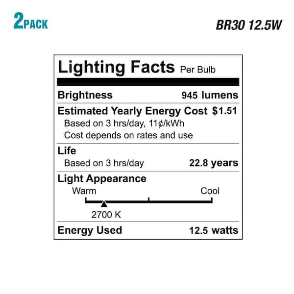 ecosmart 1003024702