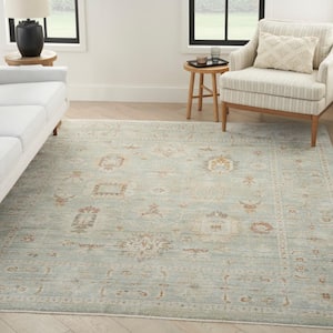 Traditional Home Mint 5 ft. x 8 ft. Distressed Traditional Area Rug