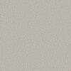 Piece Of Cake Skyline Gray 33 oz. Solution Dyed Polyester Texture Installed Carpet