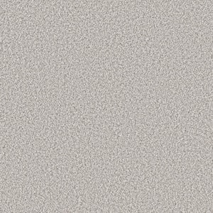 Piece Of Cake Skyline Gray 33 oz. Solution Dyed Polyester Texture Installed Carpet