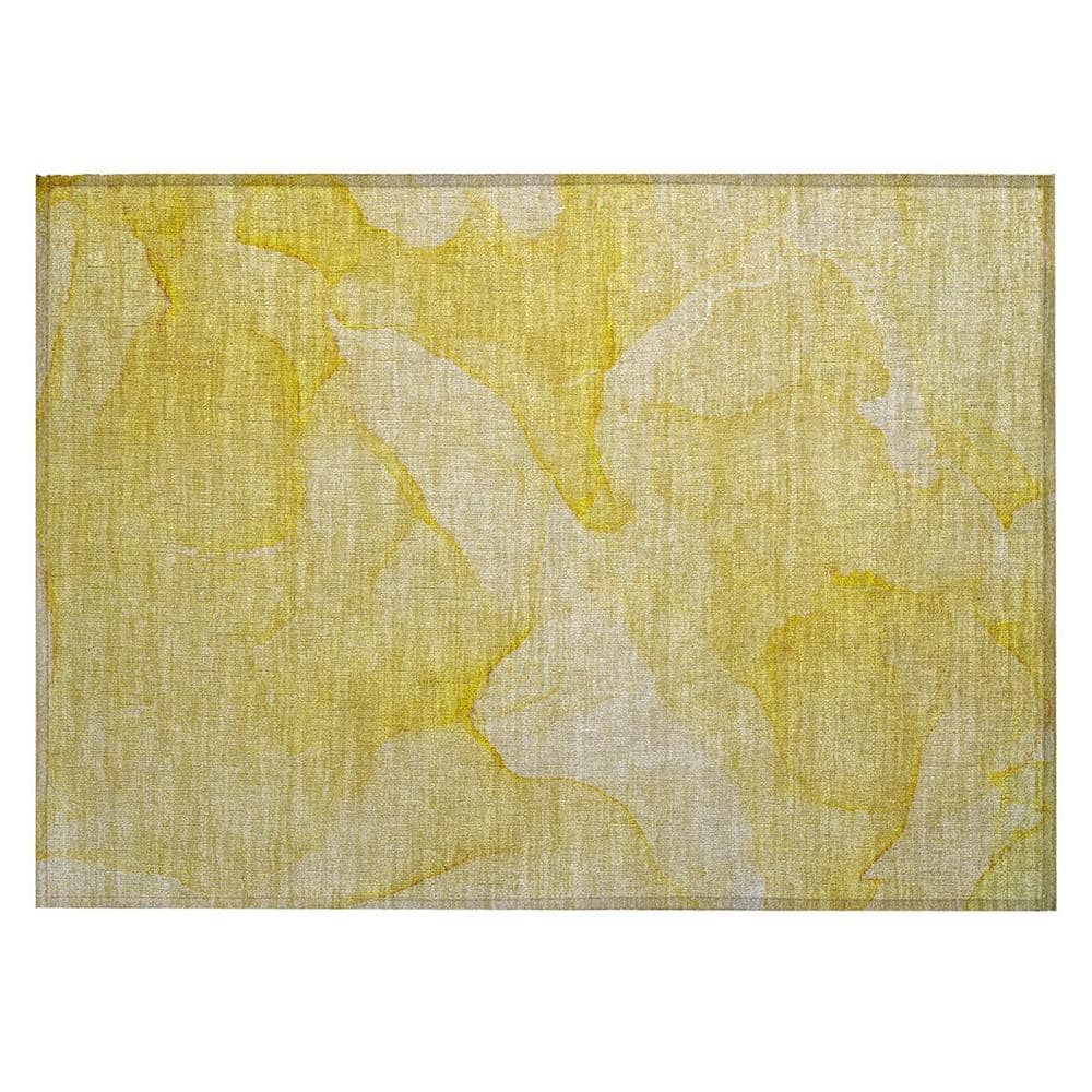 Gold 2 ft. x 3 ft. Abstract Indoor/Outdoor Area Rug price history on PriceWatchPro