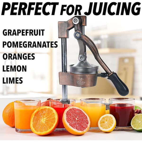 Fruit Juice Squeezer Citrus Juicer Hand Press Heavy Duty Lemon Squeezer  Manual Fruit Juicer Orange Grapefruit Presser 
