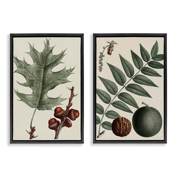 Tree Leaves and Nuts by Graffi*tee Studios 2 Pieces Black Floater Frame Nature Graphic Art Print 31 in. x 21 in.
