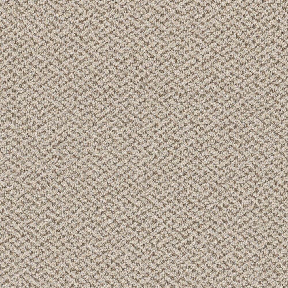8 in. x 8 in. Loop Carpet Sample - Ballad Bliss - Color Refrain price history on PriceWatchPro