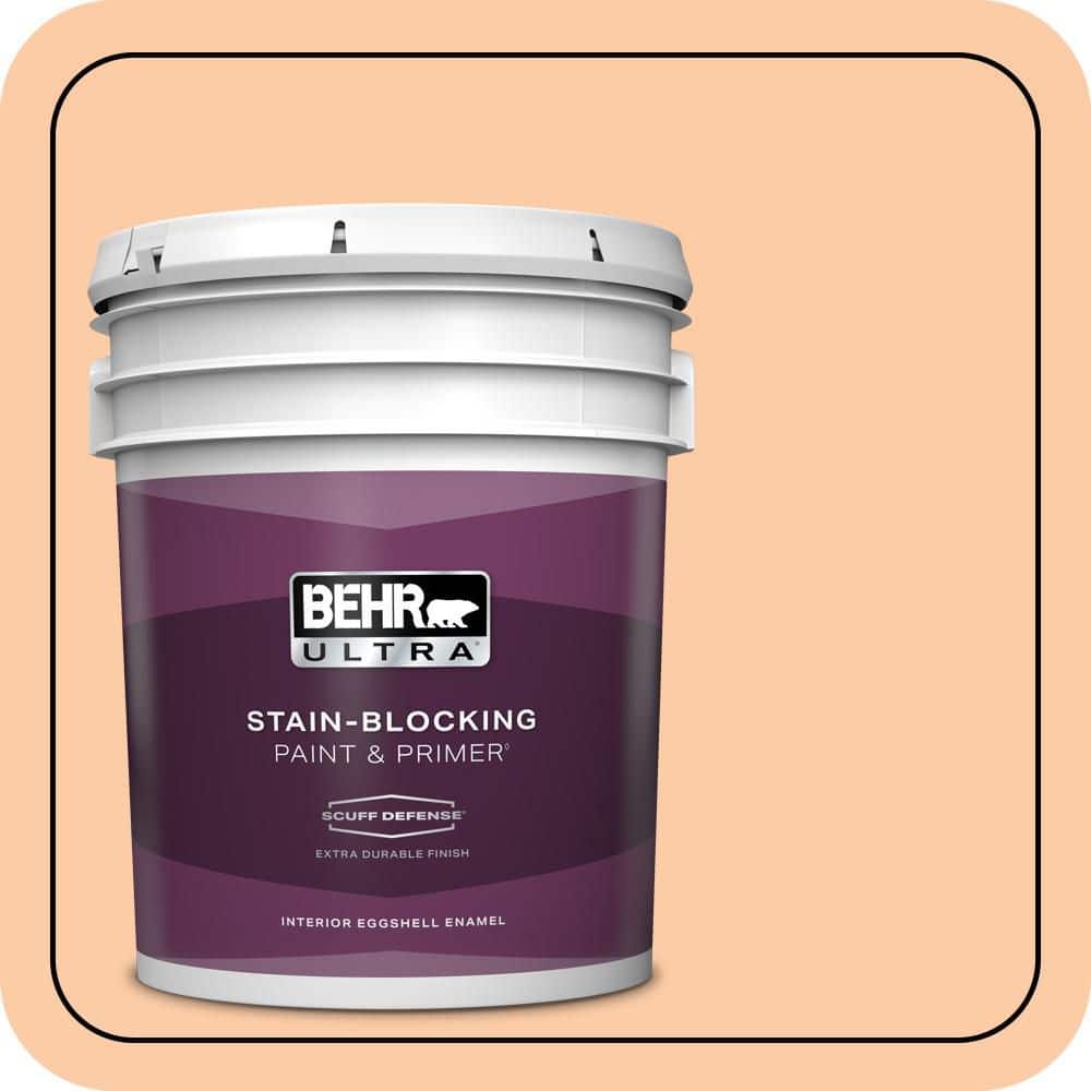 5 gal. #270C-3 Coral Confection Extra Durable Eggshell Enamel Interior Paint & Primer product image for price tracking