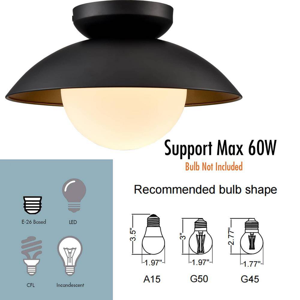 Matte Black and Gold Glass Globe Flush Mount Ceiling Light
