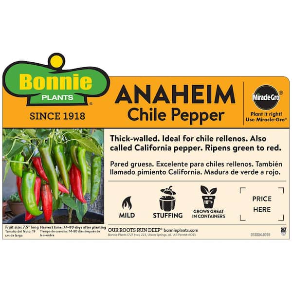 19oz. Anaheim Hot Pepper Plant
