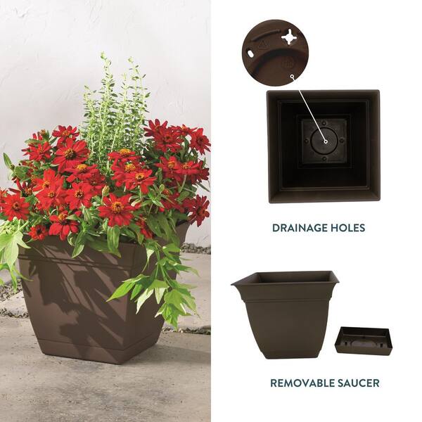 mimi☺︎ For Ages 3-6 | Kent International Inc.