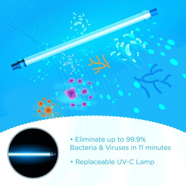 EVLA'S UV Light Sanitizer and Dryer, Grey EV-UV-QHQX - The Home Depot