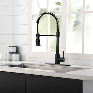 Melo Single-Handle Pull-Down Sprayer Kitchen Faucet in Matte Black