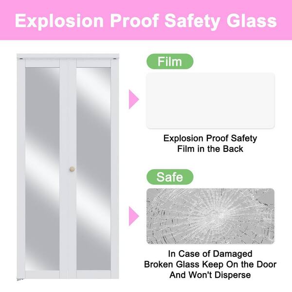 Moristar 24 in. x 80 in. 1 Lite Mirrored Glass Solid Core