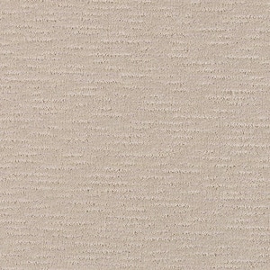 Home Decorators Collection 8 in. x 8 in. Pattern Carpet Sample - Smooth ...