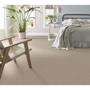 Urban Artifact I - Dakota - Brown 46.8 oz. Nylon Texture Installed Carpet