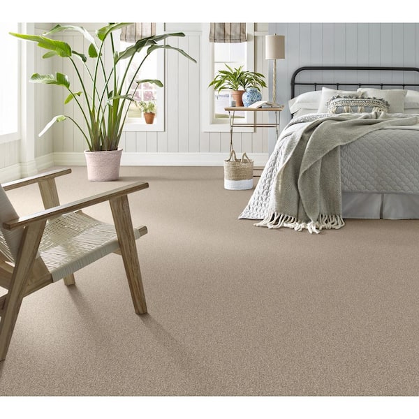 Urban Artifact II - Dakota - Brown 60.9 oz. Nylon Texture Installed Carpet