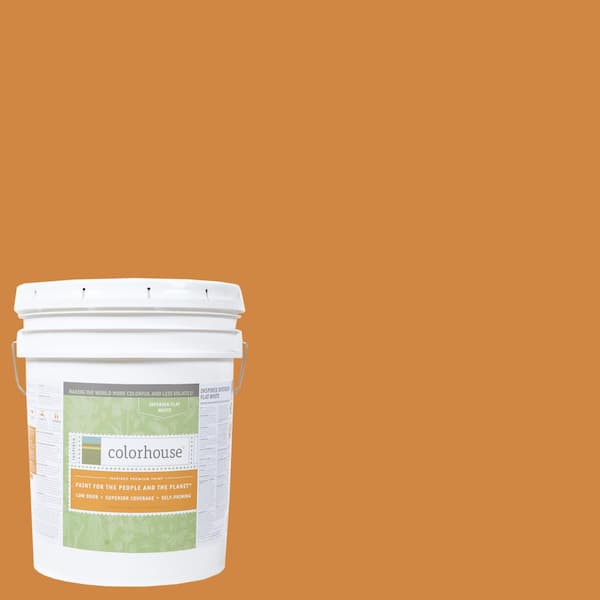Colorhouse 5 gal. Clay .02 Flat Interior Paint