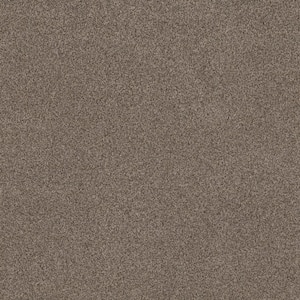 Urban Artifact I - Western Days - Brown 46.8 oz. Nylon Texture Installed Carpet