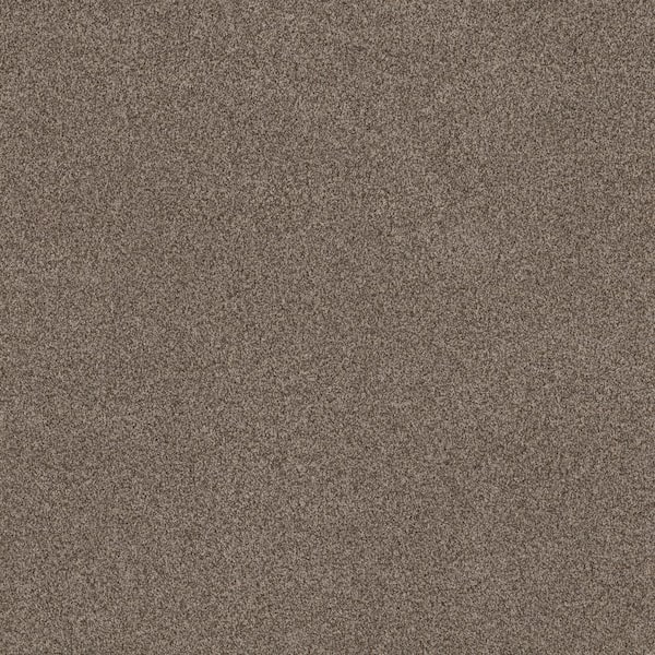 Lifeproof Urban Artifact I - Western Days - Brown 46.8 oz. Nylon Texture Installed Carpet