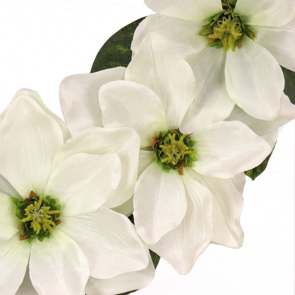 24" Cream Artificial Magnolia Wreath with Green Leaves