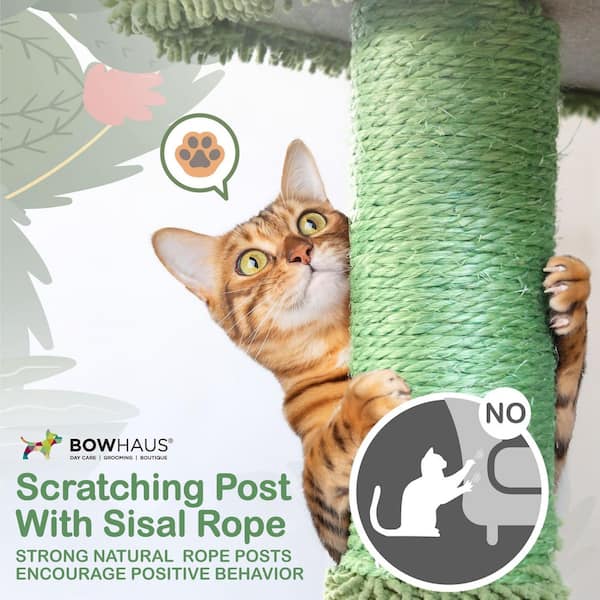 BOWHAUS 70 in. Cactus Cat Tower for Indoor Cats, Cute Small Cactus Cat Tree  with Widened Perch PHFC-BH672002-GR