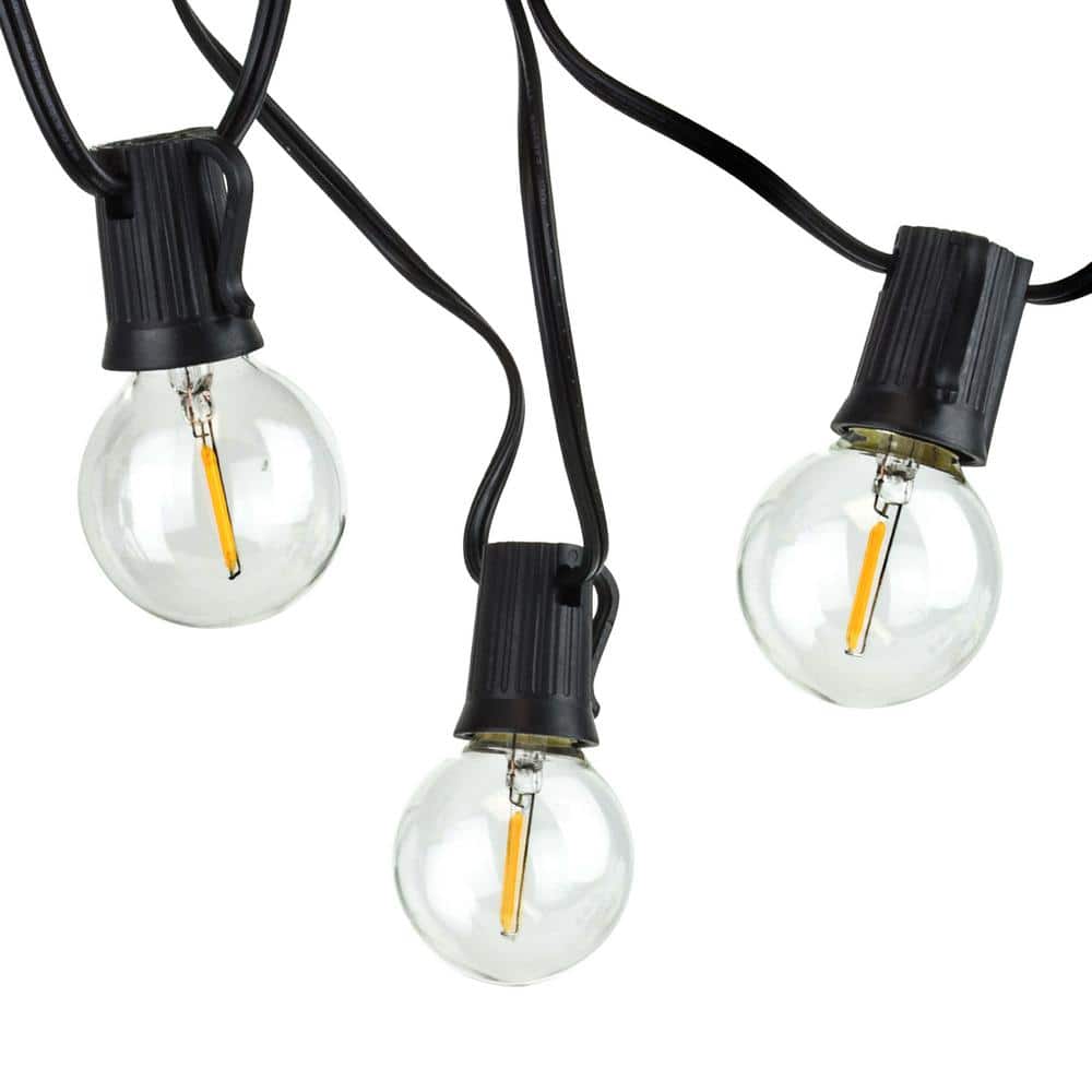 50-Foot  50 Socket Indoor/Outdoor Patio String Lights with 55 LED Globe G40 Bulbs (5 Free Bulbs Included)  Great Wedding Lights  Decorations for Patios  Porches  Backyards  Decks  Bistros