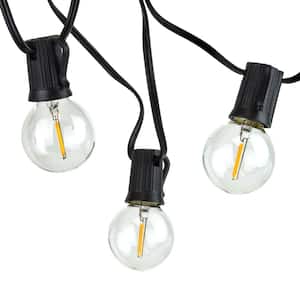 Indoor/Outdoor 50 ft. Plug-In Globe Bulbs Party LED Outdoor String Lights with 55 LED G40 Bulbs Included (5-Free Bulbs)