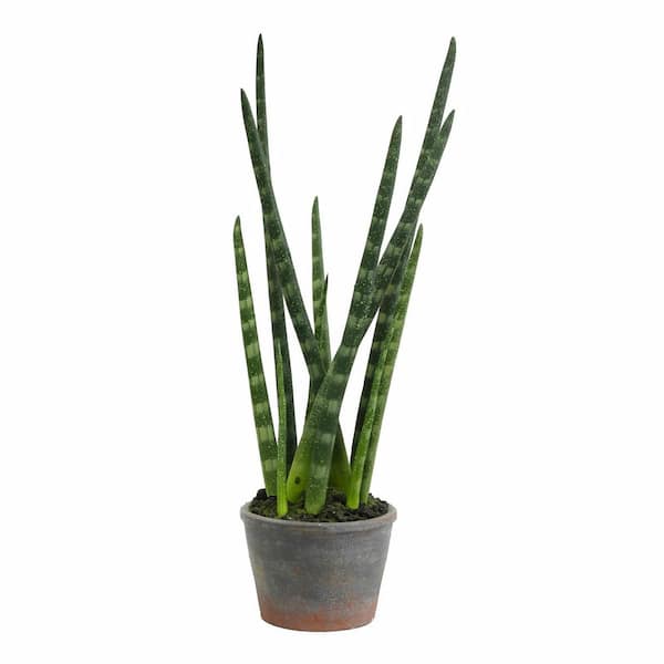 Vickerman 17 in. Green Artificial Tiger Tail Other Plant in Paper Pot