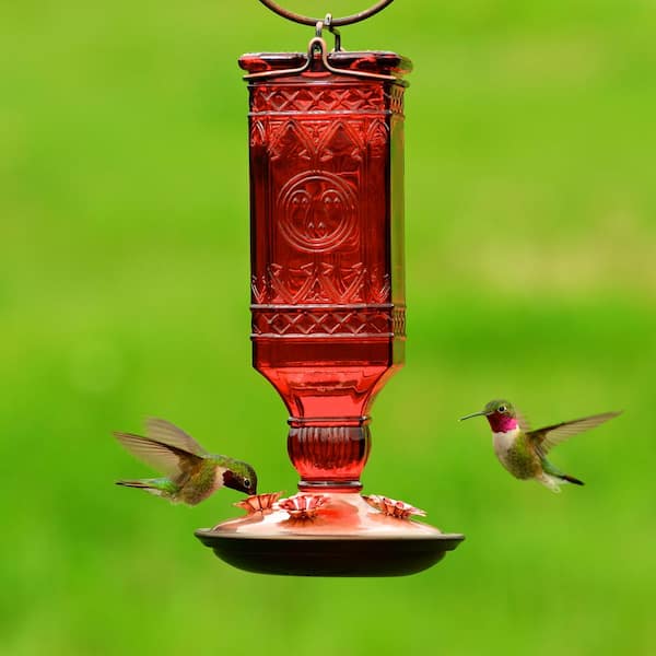 Hummingbird Feeders Hanging Stained Glass With Perching Frame Bird Feeder 