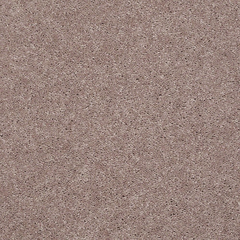 8 in. x 8 in. Texture Carpet Sample - Brave Soul I - Color Sweater price history on PriceWatchPro