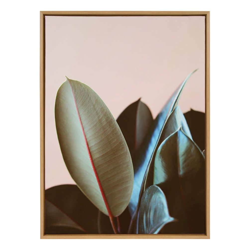 Natural Ficus Elastica Framed Canvas Wall Art, 28"x38"