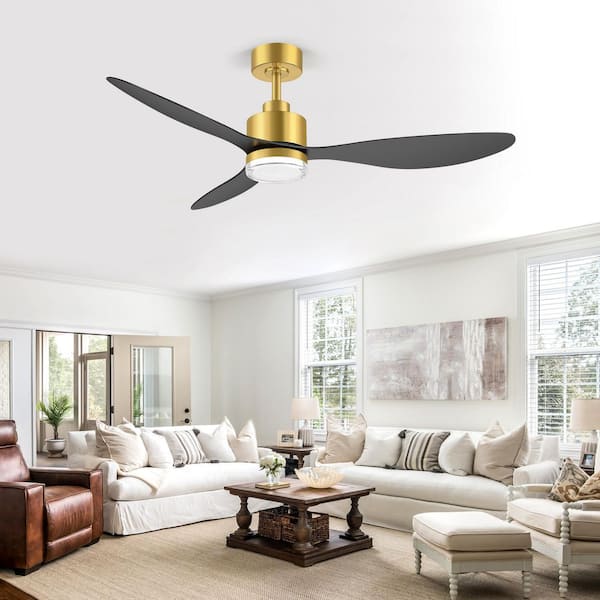Anselm 52 in. Integrated LED Indoor Standard Gold Ceiling Fan with Light, Downrod, Black Blade and Remote Included