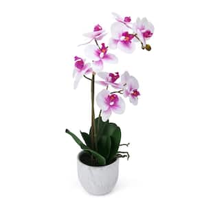Artificial Orchid in Pot, Real Touch Phalaenopsis Orchid, Embossed Leaf Cement Pot, 22 in. Double Branch, White Fuchsia