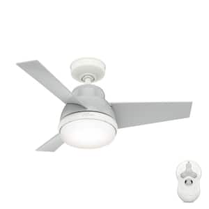 Valda 36 in. LED Indoor Dove Grey Ceiling Fan with Light Kit and Remote