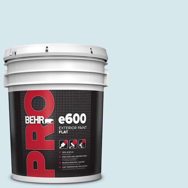 BEHR PRO 5 gal. #S490-1 Permafrost Flat Exterior Paint