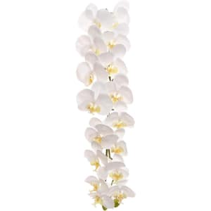 4 in. White Artificial Orchid Stems Phalaenopsis Flowering Plants - Realistic Blooms, Floral Home by Artificial Flowers