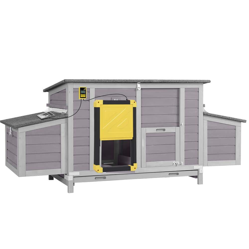Wooden Chicken Coop for 2/4-Chickens with Automatic Chicken Door (Black Fra