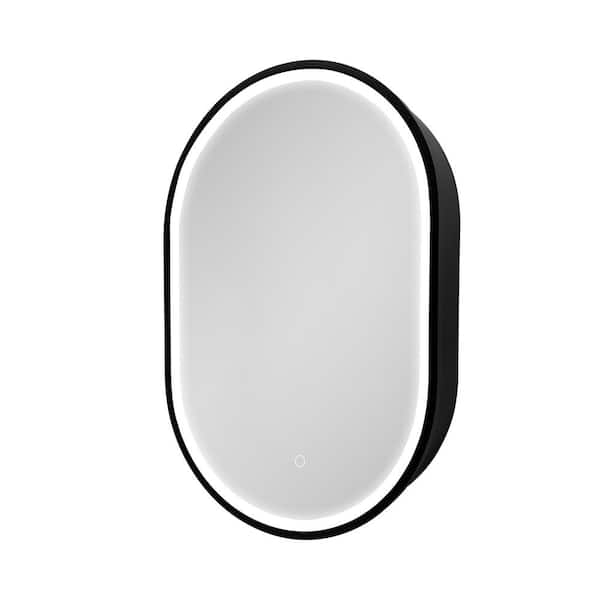 Unbranded 21 in. W x 31 in. H Oval Surface Mount Black Bathroom Medicine Cabinet with Mirror with LED Light and Anti-Fog