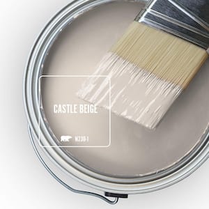 N230-1 Castle Beige Paint