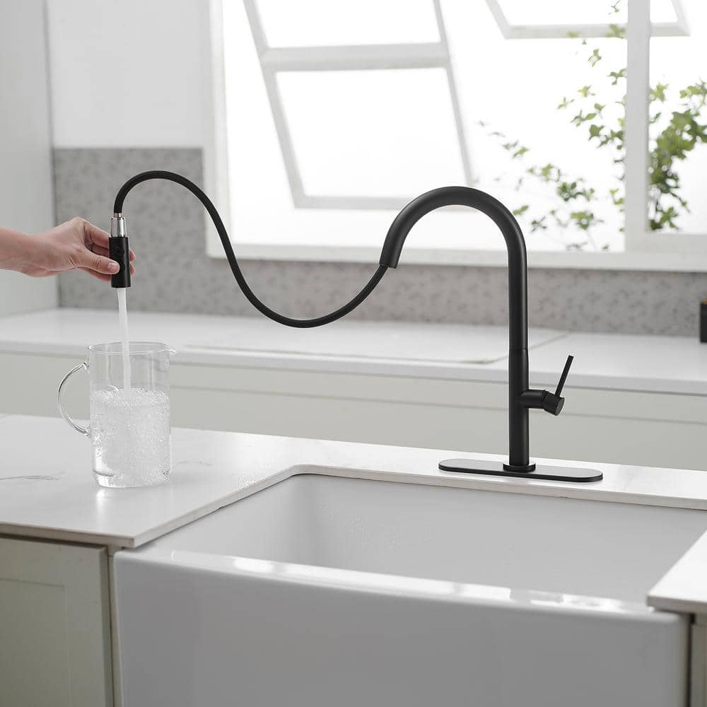 Matte Black Brass High Arc Single Handle Kitchen Faucet