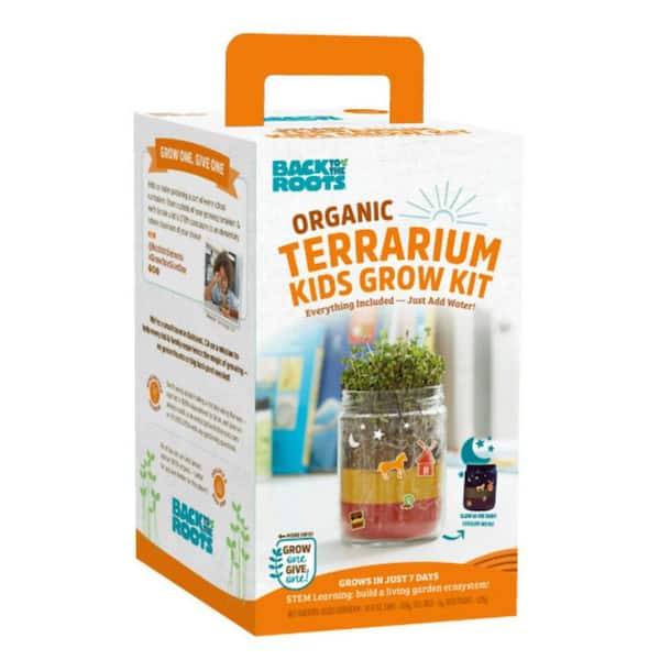 Terrarium Grow Kit