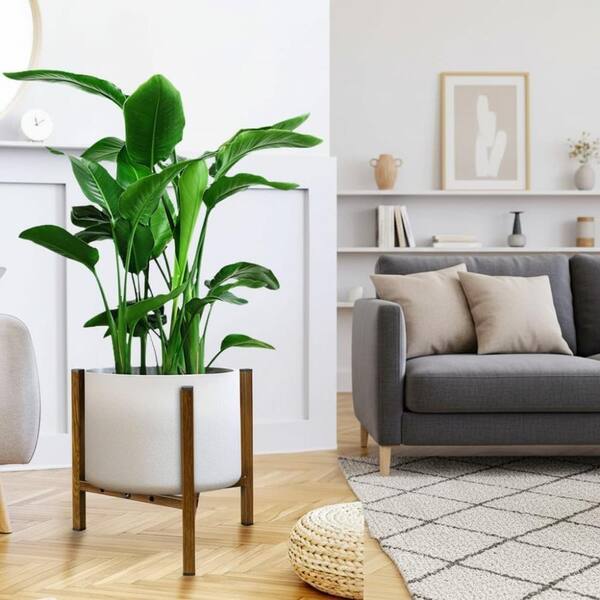 Unbrand Mid Century Modern Adjustable Metal Corner Plant Stand