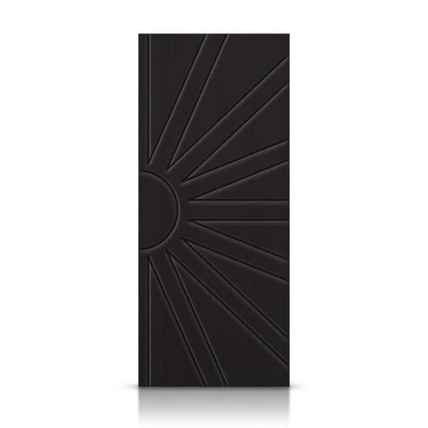 CALHOME 24 in. x 80 in. Hollow Core Black Stained Composite MDF Interior Door Slab